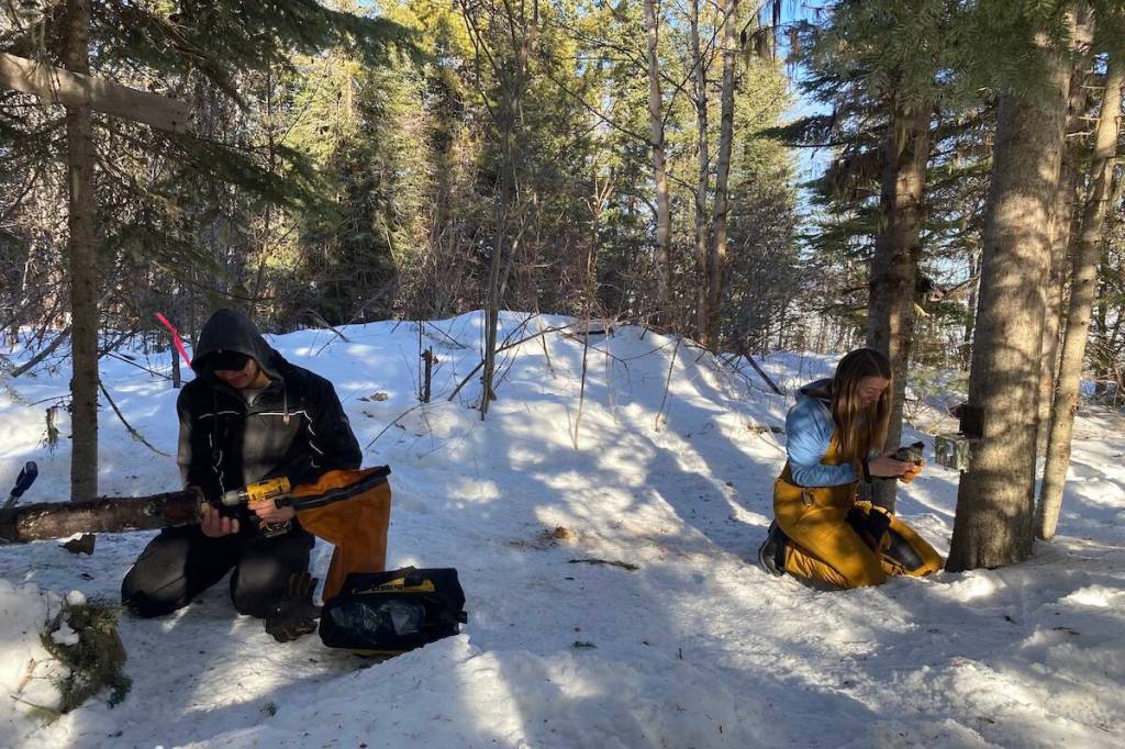 Research forest near Fort St. James marks 30 years, seeks funds for new camp